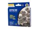 Epson T0541 Photo Black Ink
